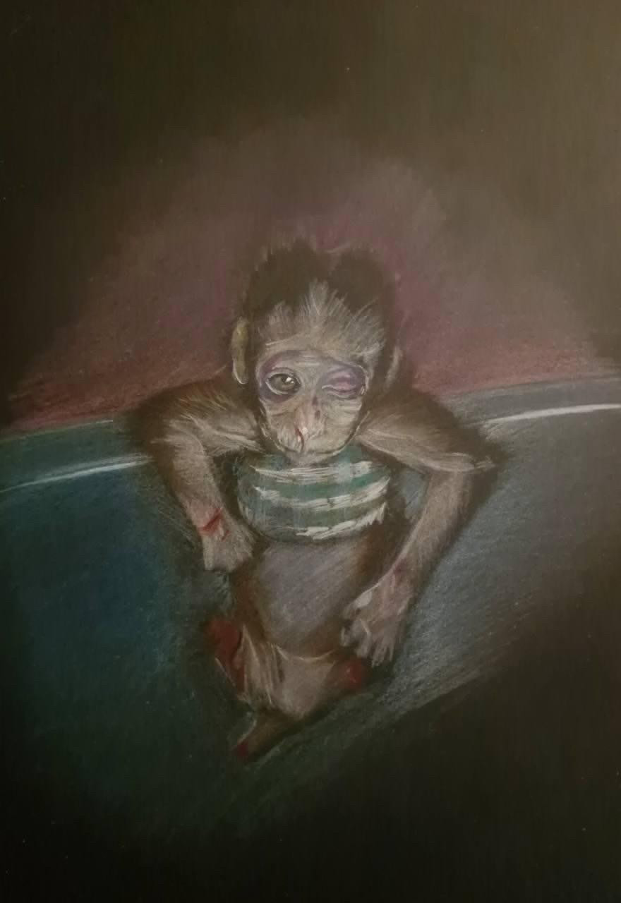 A580BE8A 8DFF 4DB2 B934 73D060324D99