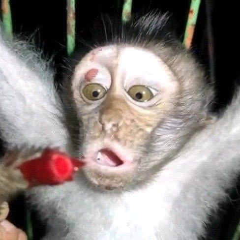 58E734D7 6C00 4CA9 9725 577FAA48A964