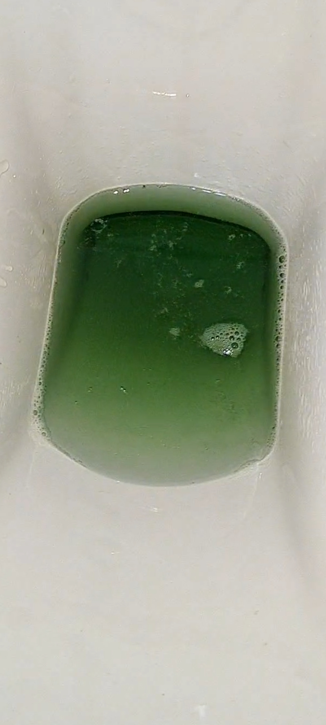 Screenshot 20240727 195208 Gallery