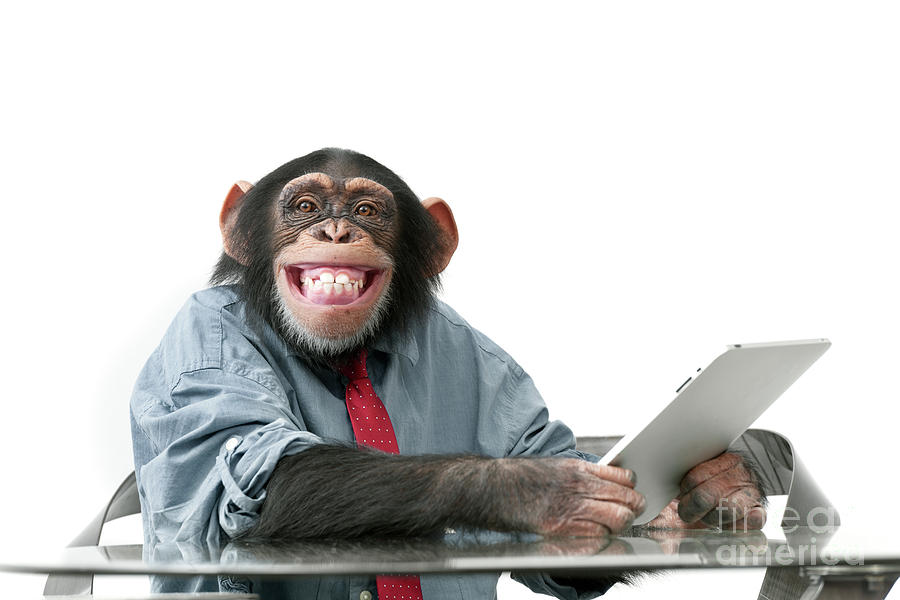 Monkey on tablet lise gagne
