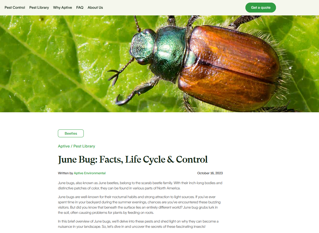 All things All things