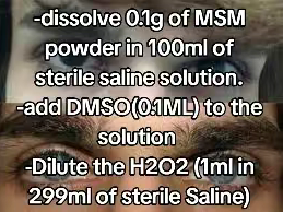 1000029241 1000029241