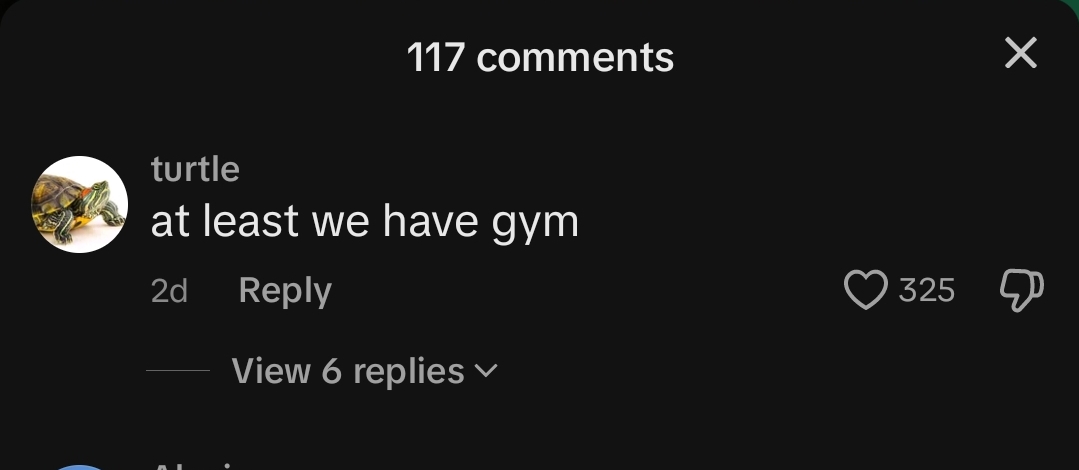 Screenshot 20240729 185715 TikTok