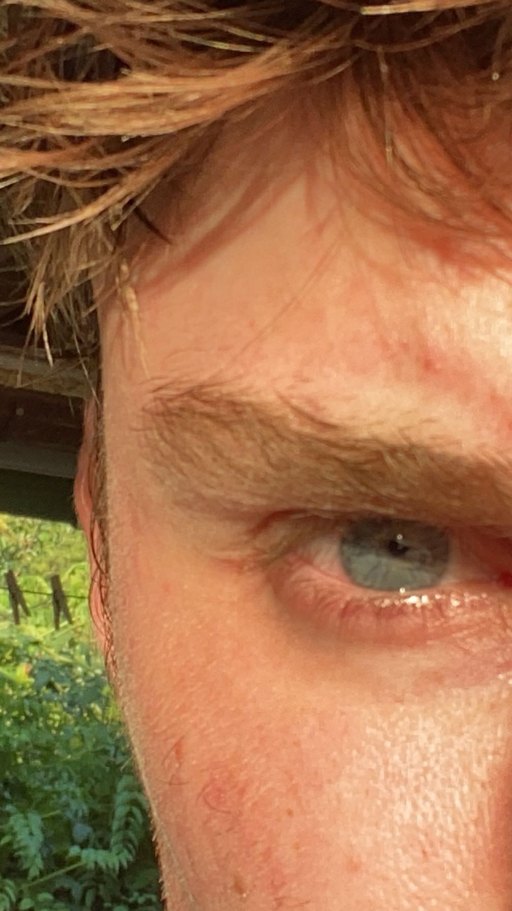 CCE580B1 2C2E 404A 9D3F 63E4ECD70C25