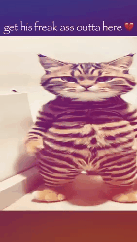 1000015292 1000015292