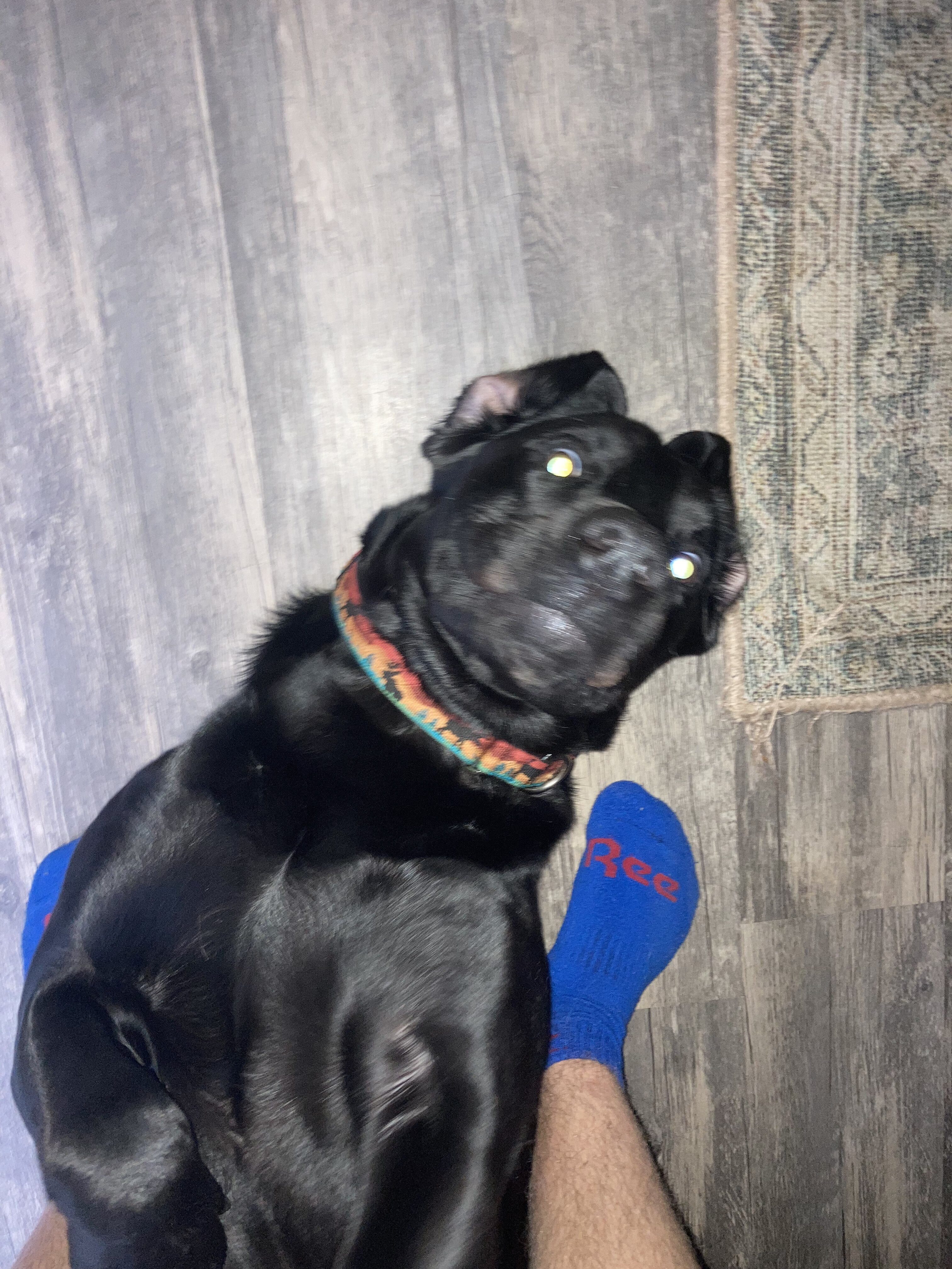 D44025C0 65EB 4268 8781 EE936322B9B7