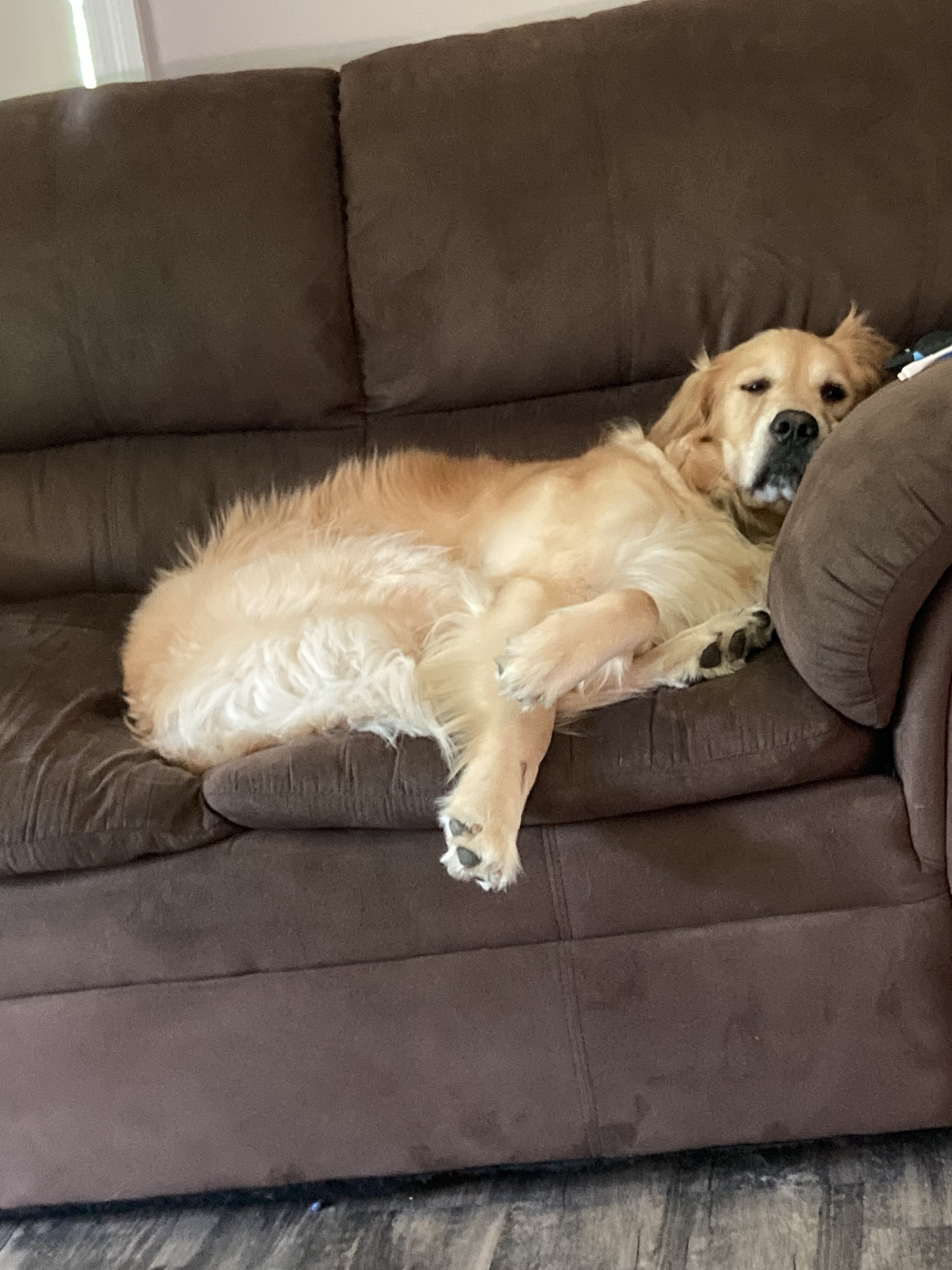 F3F1E5A3 C21E 405C 9F7C 2A0E068DB6F0