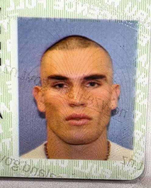 Images   2024 07 31T231247991