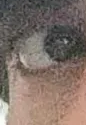 1722503453925