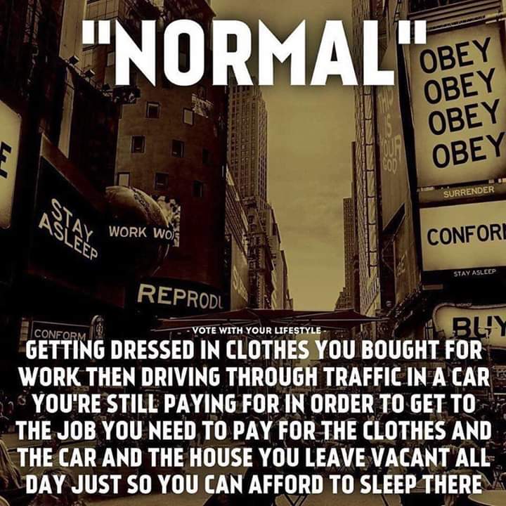 F4f0373b 42a1 437f 88b1 619933eead74