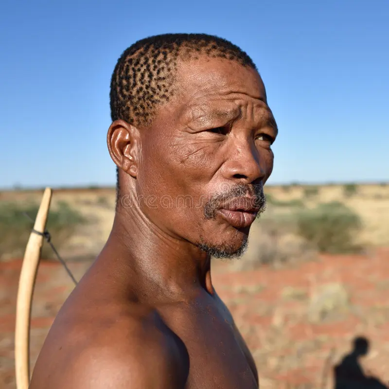 Portrait hunter bushman namibia kalahari jan close up san people also known as bushmen member