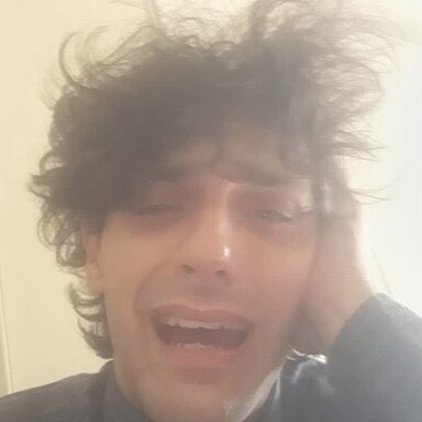 Thebull