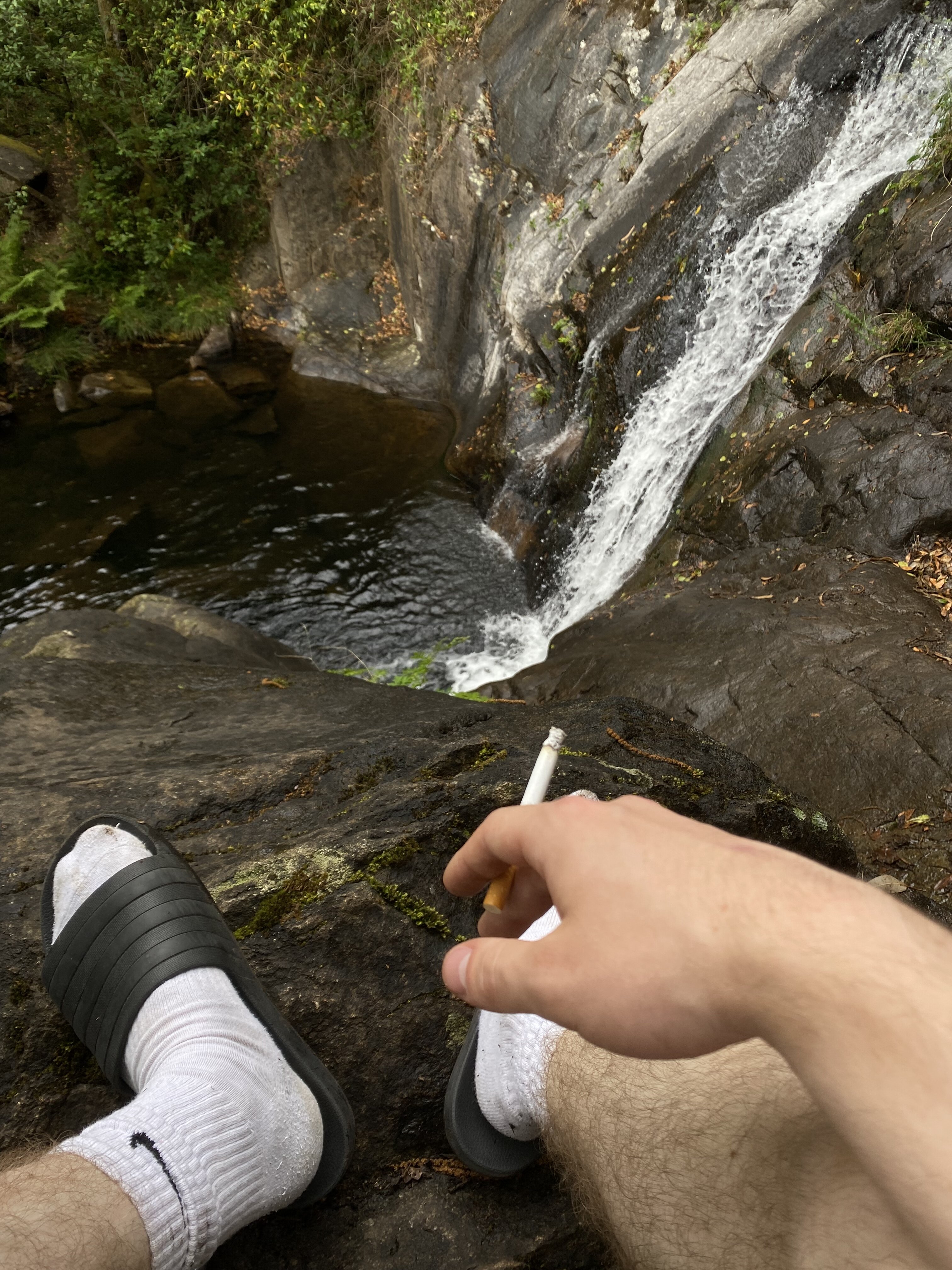 3D1B5B62 0C40 44BA AEED 6EB0818B8AC1