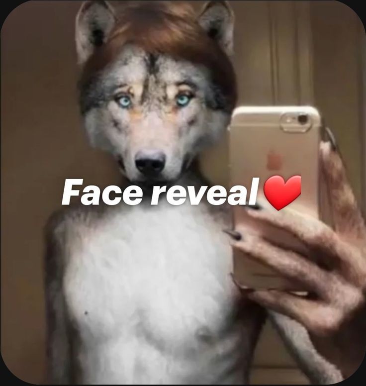 63f0fa6cad3f3aaa858732c58e359f13