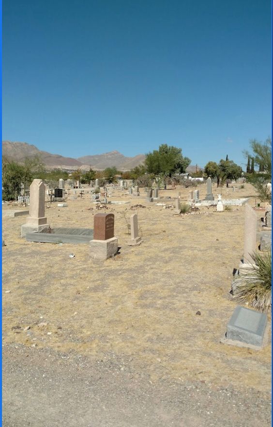 E36d56b96f2668e19e40f68aac8711c0