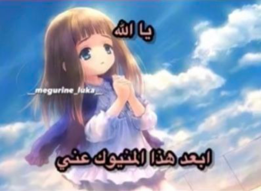 Screenshot 20240802 161059 Gallery