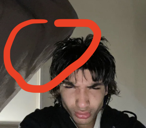 Screenshot 2024 08 03 at 32319 AM