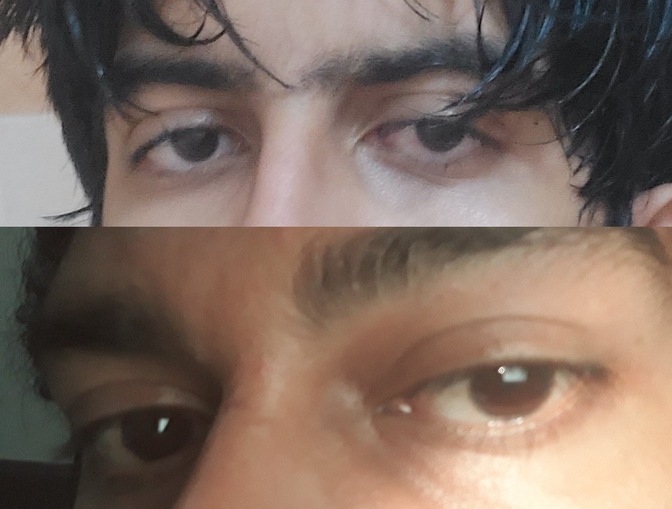 ZomboDroid 03082024113950