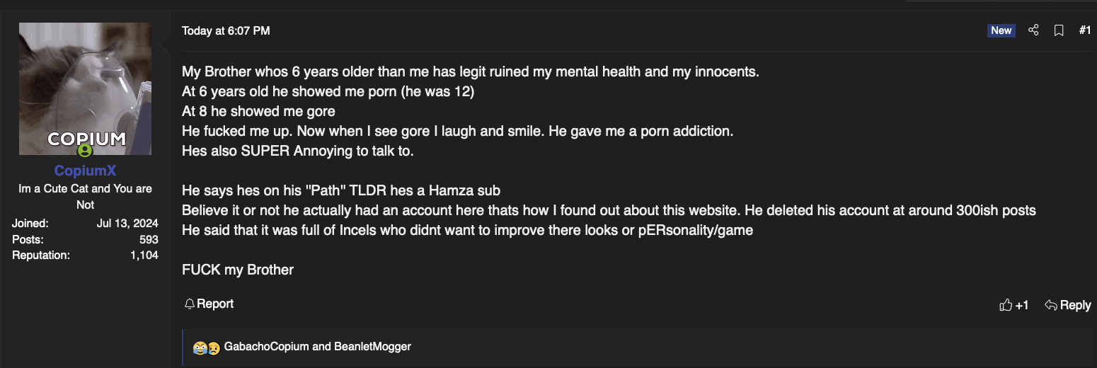 Screenshot 2024 08 03 at 75234 PM