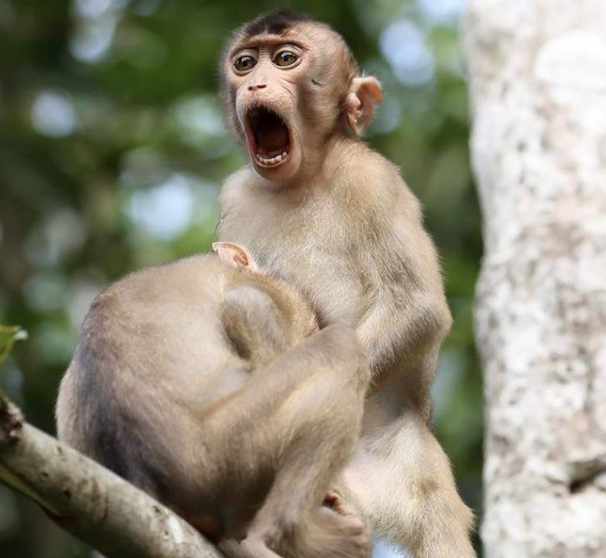 Screenshot 2024 08 04 at 105058 AM