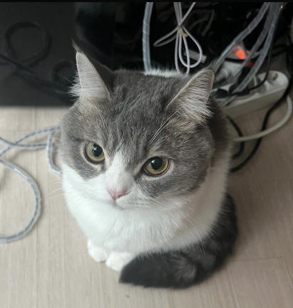 3930308 Screenshot 2024 01 02 072453