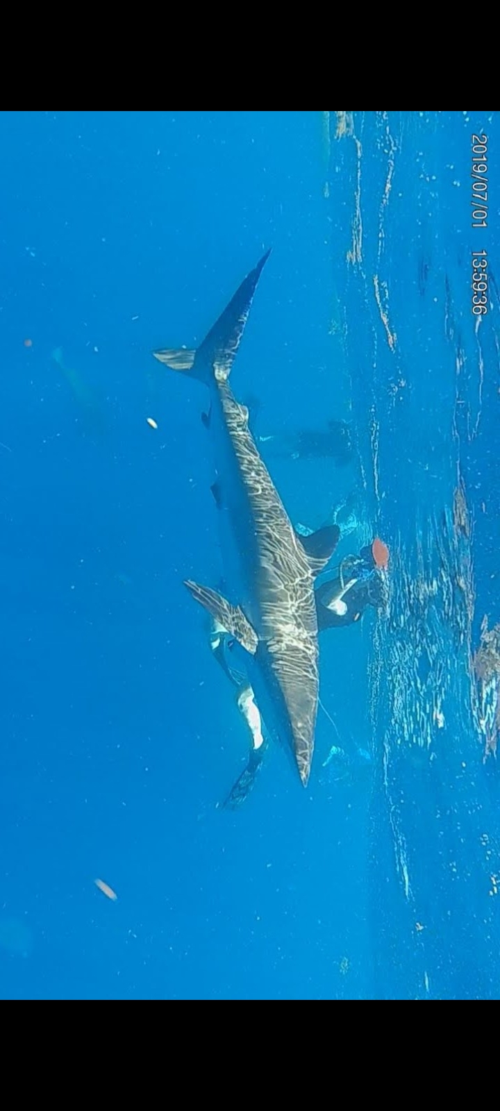 Screenshot 2024 08 05 14 08 05 86 965bbf4d18d205f782c6b8409c5773a4