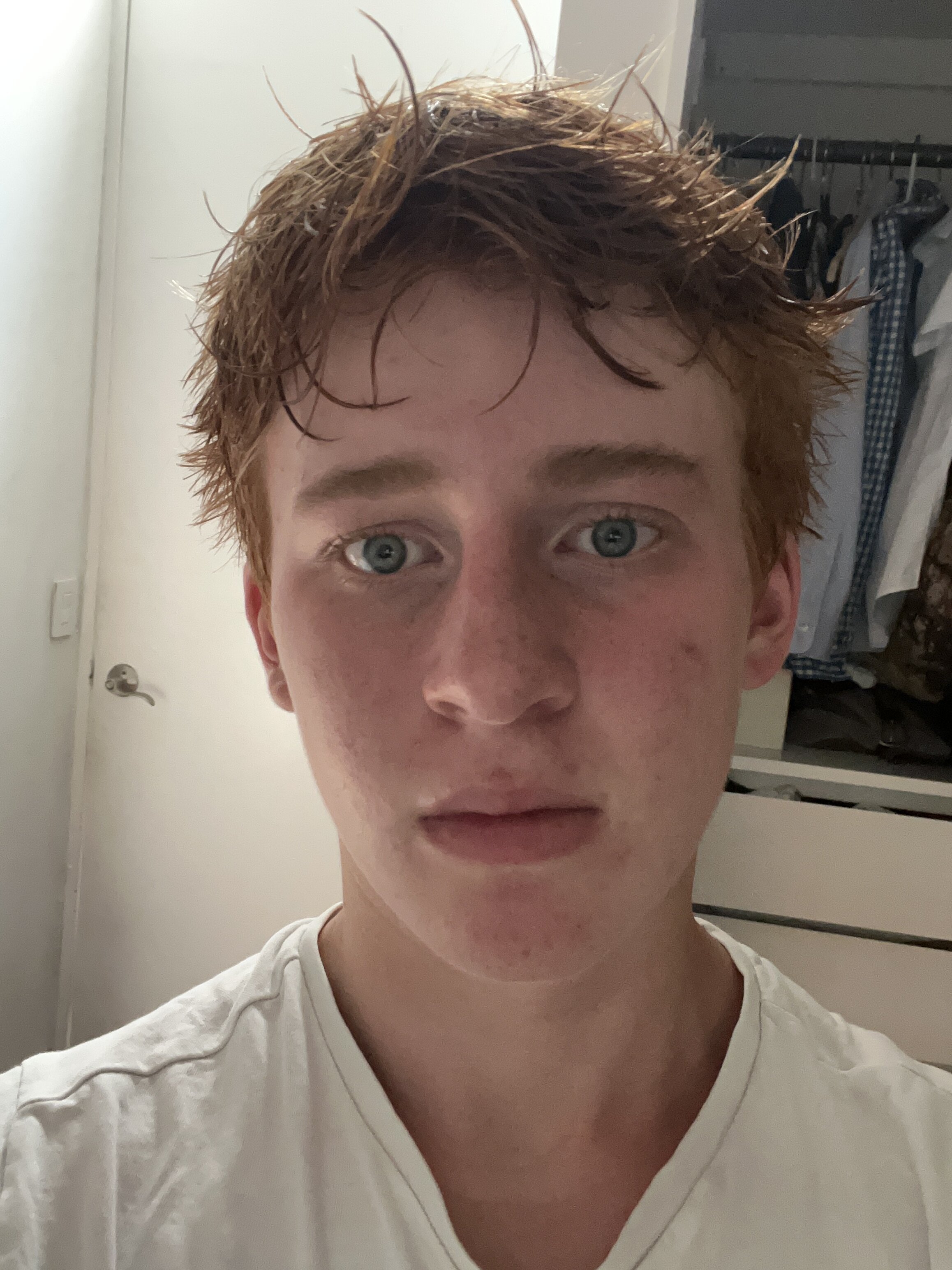 IMG 1931