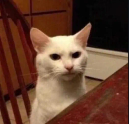 Screenshot 20240805 183313 WhatsApp