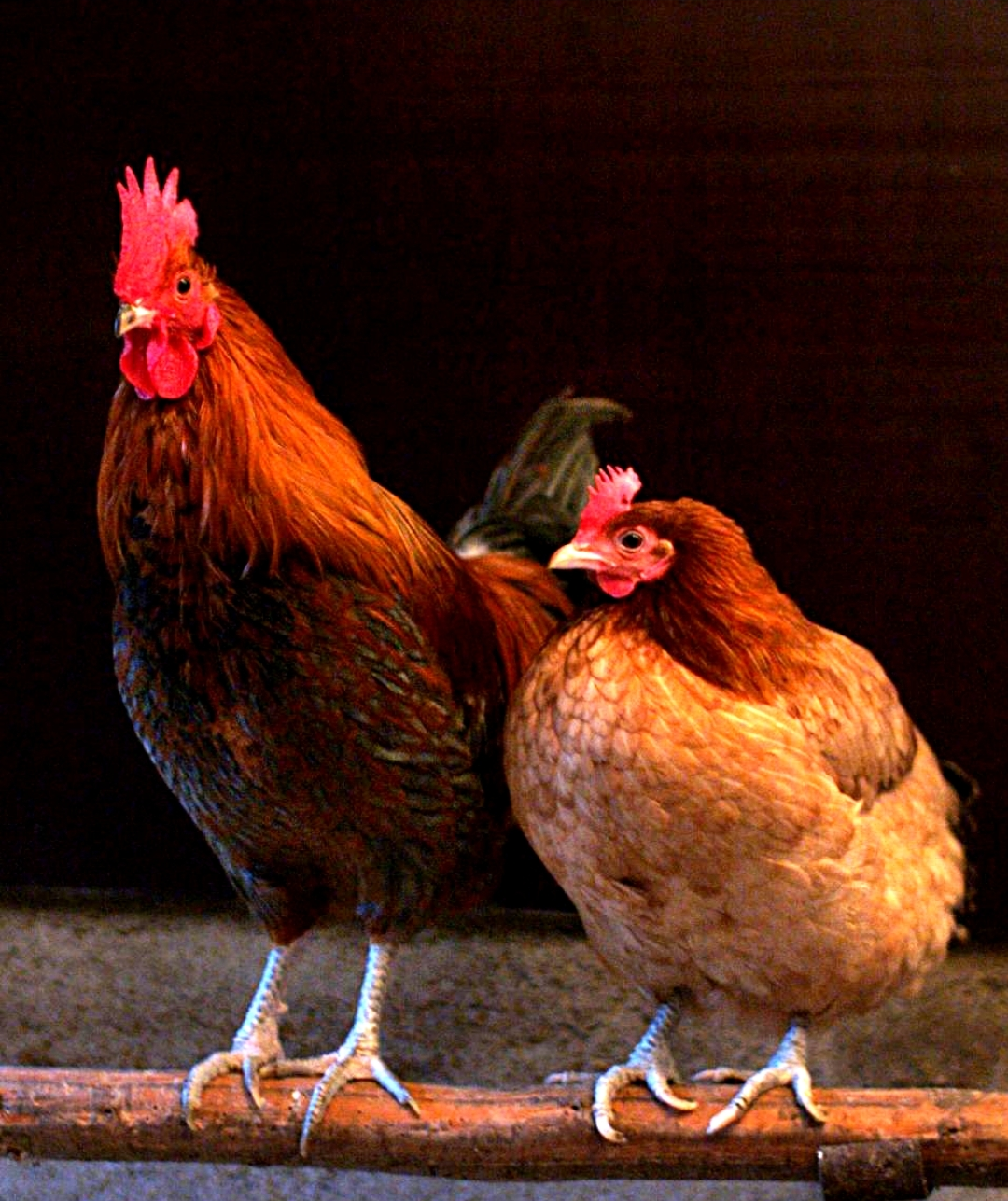 Screenshot 20240806 173018 Google