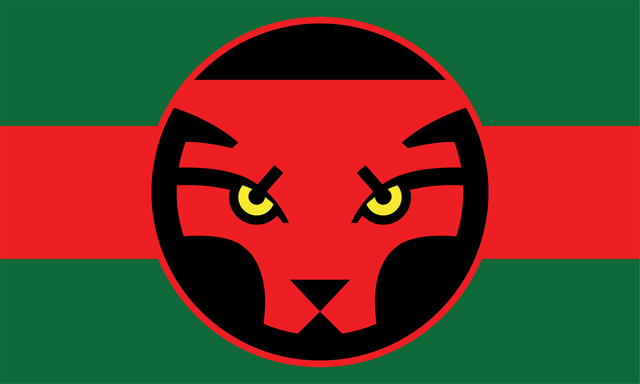 6713901 flag of wakanda