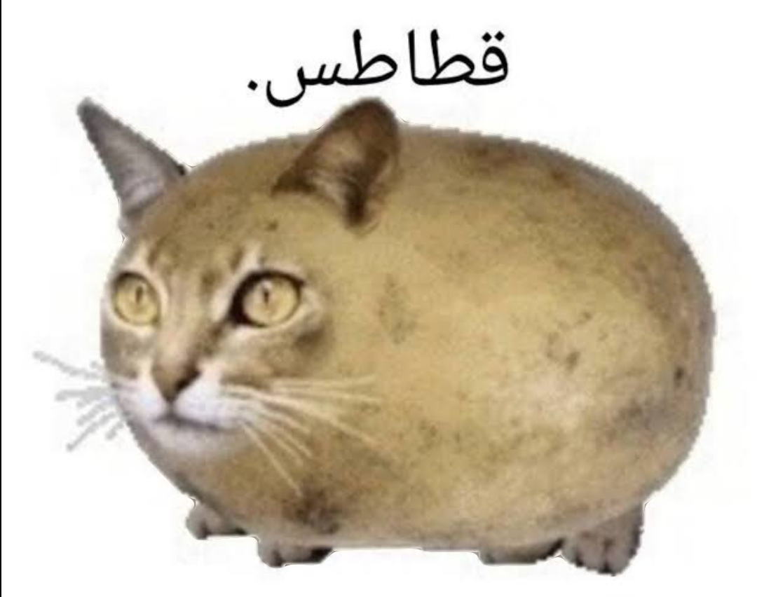 4234425 Screenshot 20240709 185917 Google