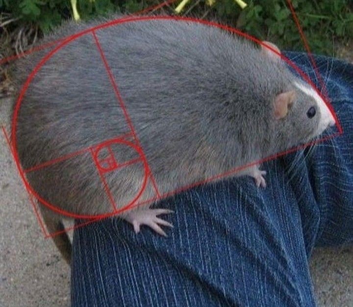 35d3fe12dbe4097f6d710c3240ae8e06