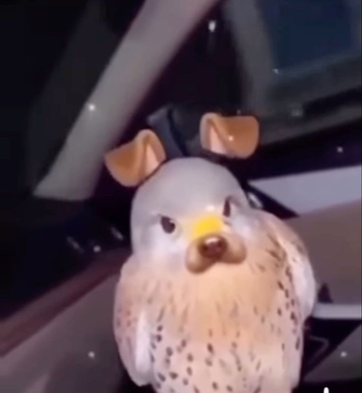 Dc76e55313ed3f9260567e04c158db8b