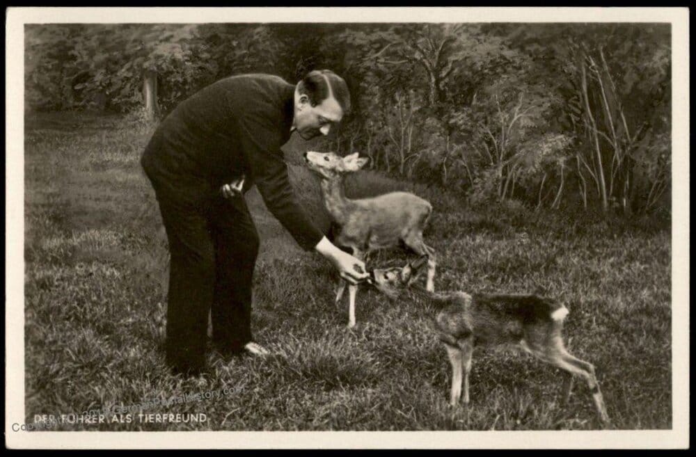 2303446 1615174276913