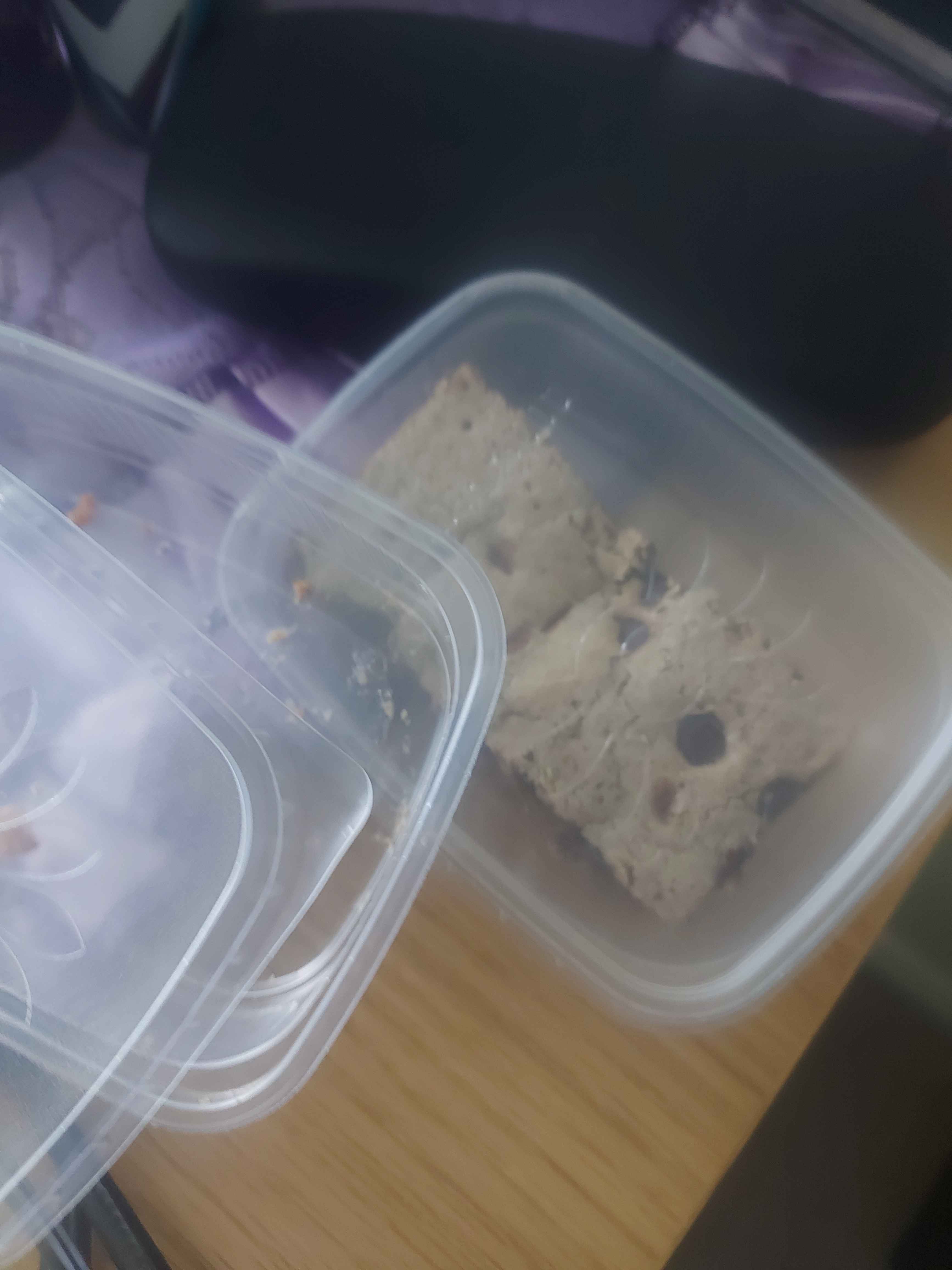 E3a8d457 bf31 4096 ae69 f3b2d83721fe