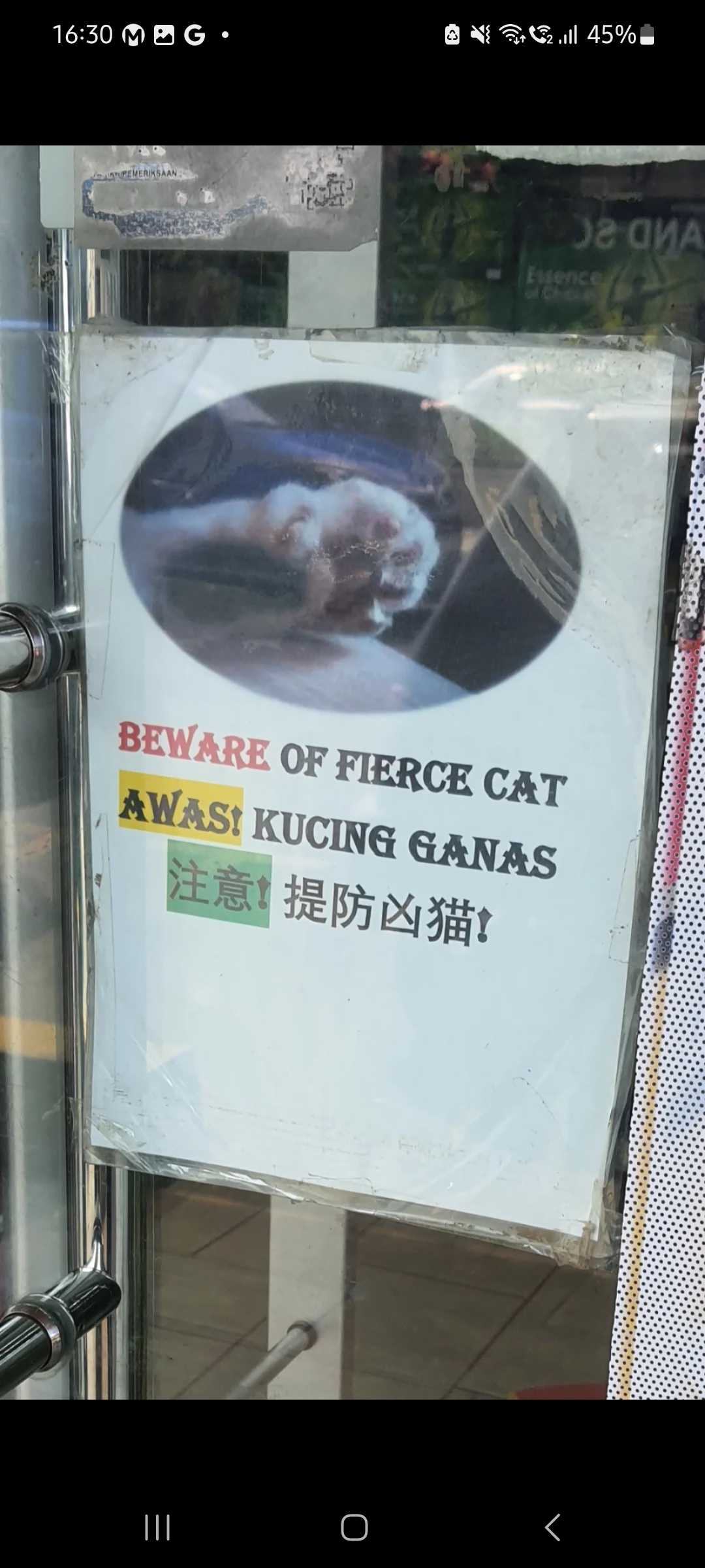 Screenshot 20240810 163014 Reddit