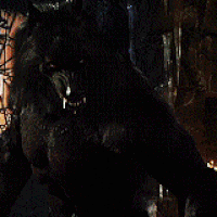 6476494b3c9cc16885e85b6f76b99508 w200