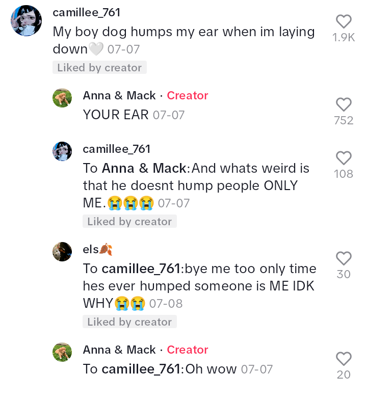 Screenshot 20240811 110827 1