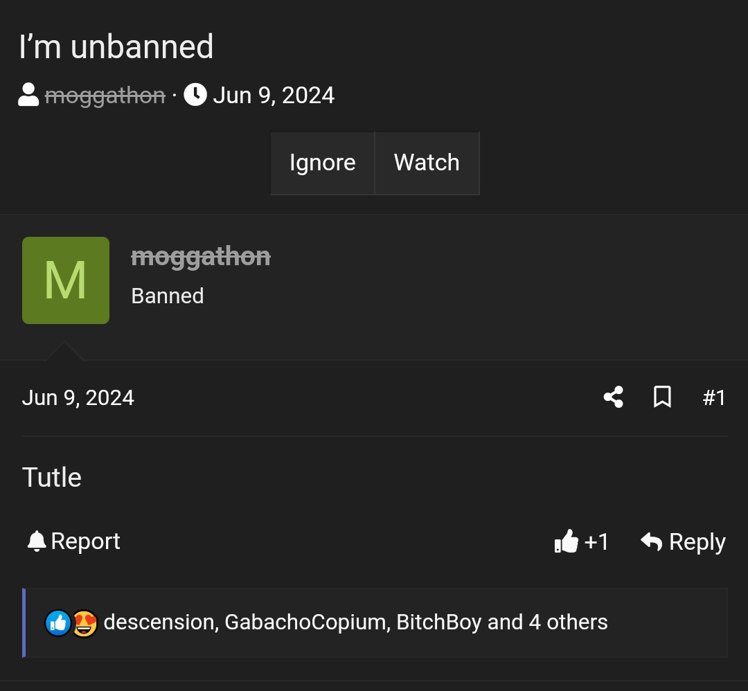 Screenshot 20240811 180319 Chrome