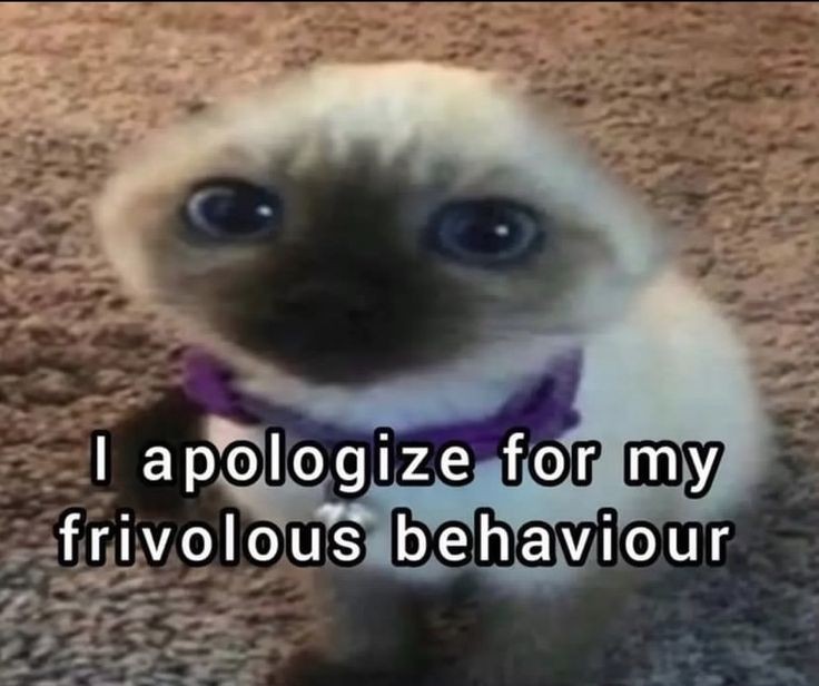 A5a78af3fb4f93a915d03d815a517c20