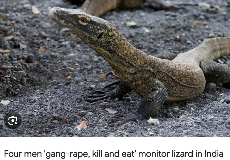 Screenshot 2024 08 12 at 91236PM