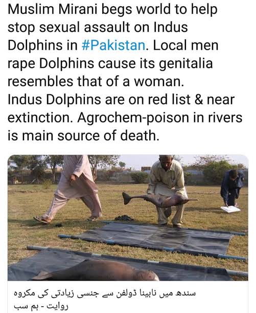 Images   2024 08 12T224611866