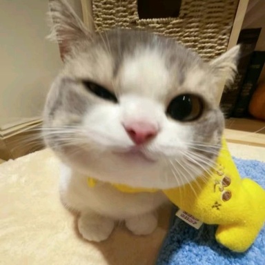 1723490171778