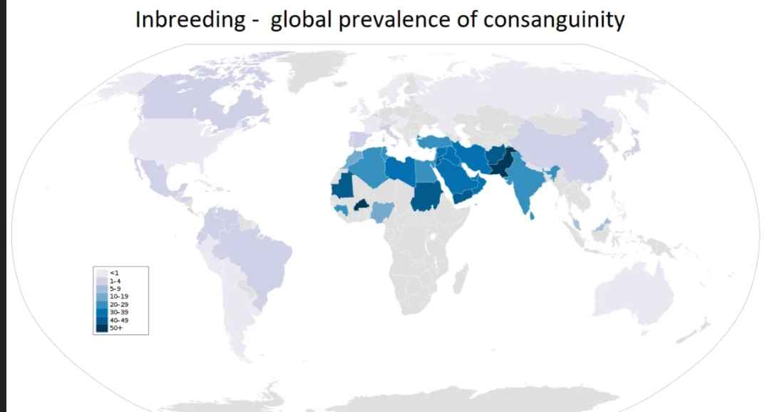 Screenshot 20240811 070452 Google