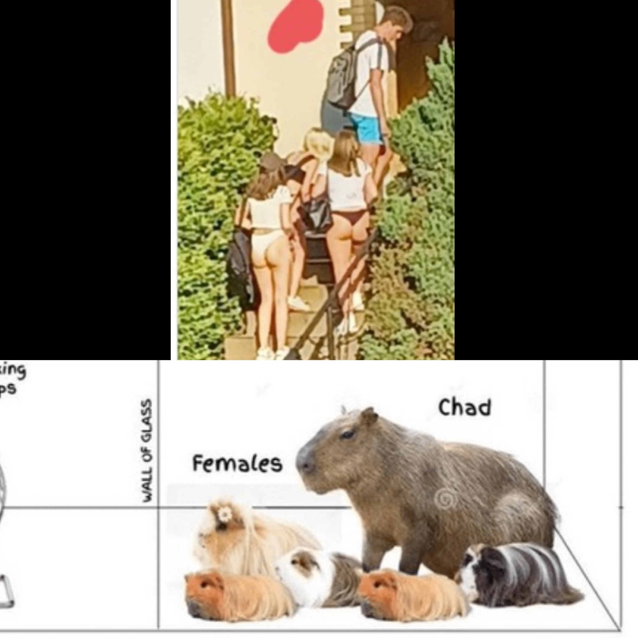 810A4865 6730 42A8 A7EE 35F3C6C2A698