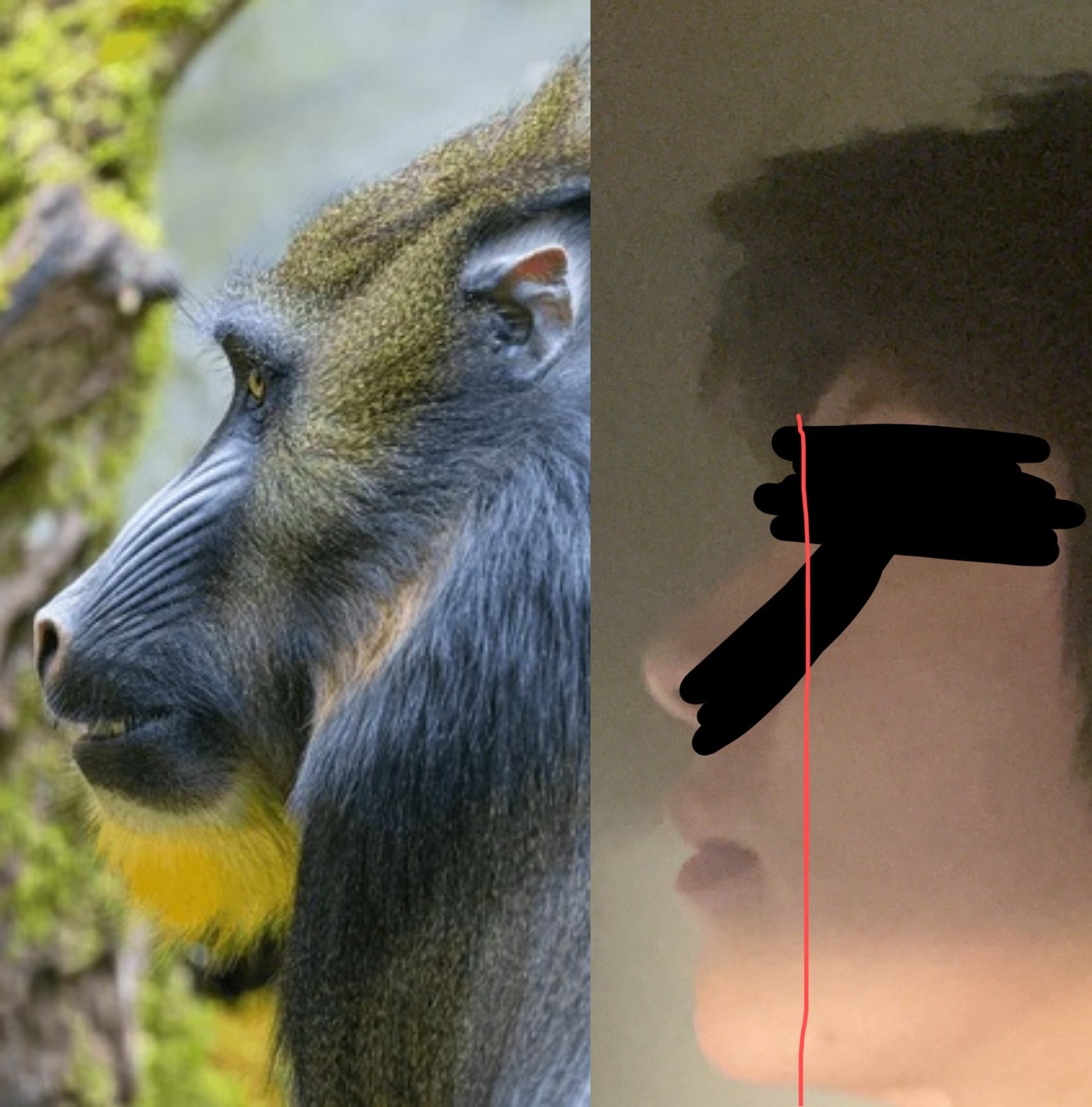 ZomboDroid 14082024055943