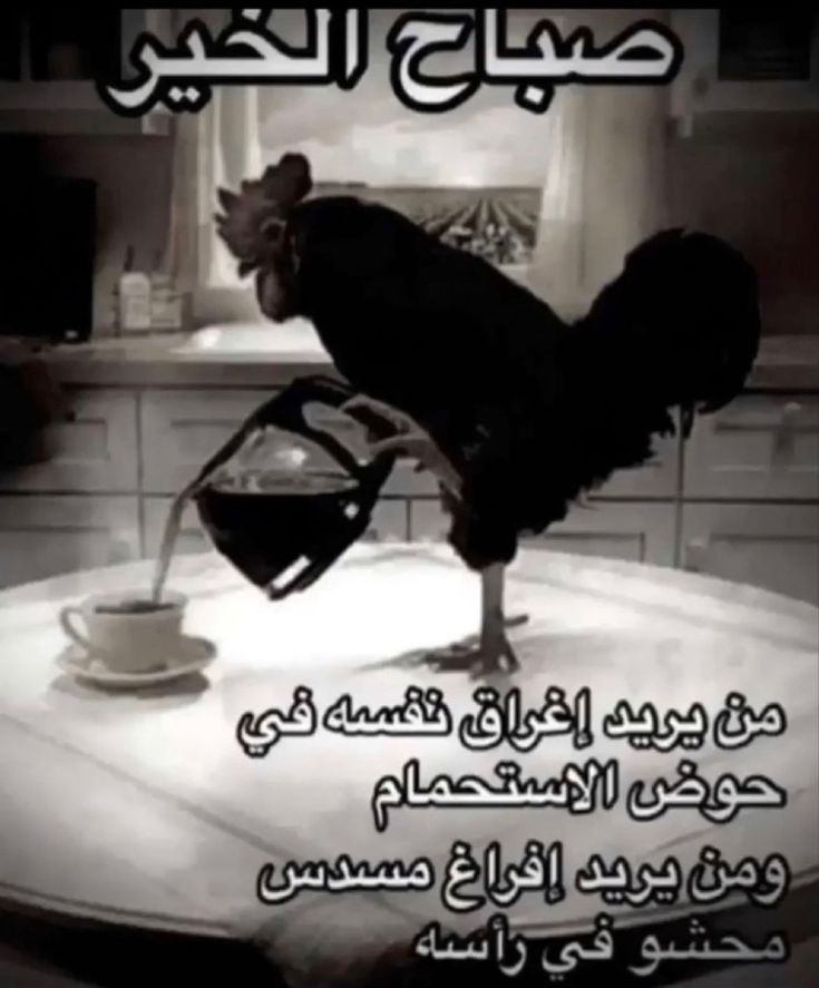 11ee7fb9ecd39f5c3ba4da0298588d36