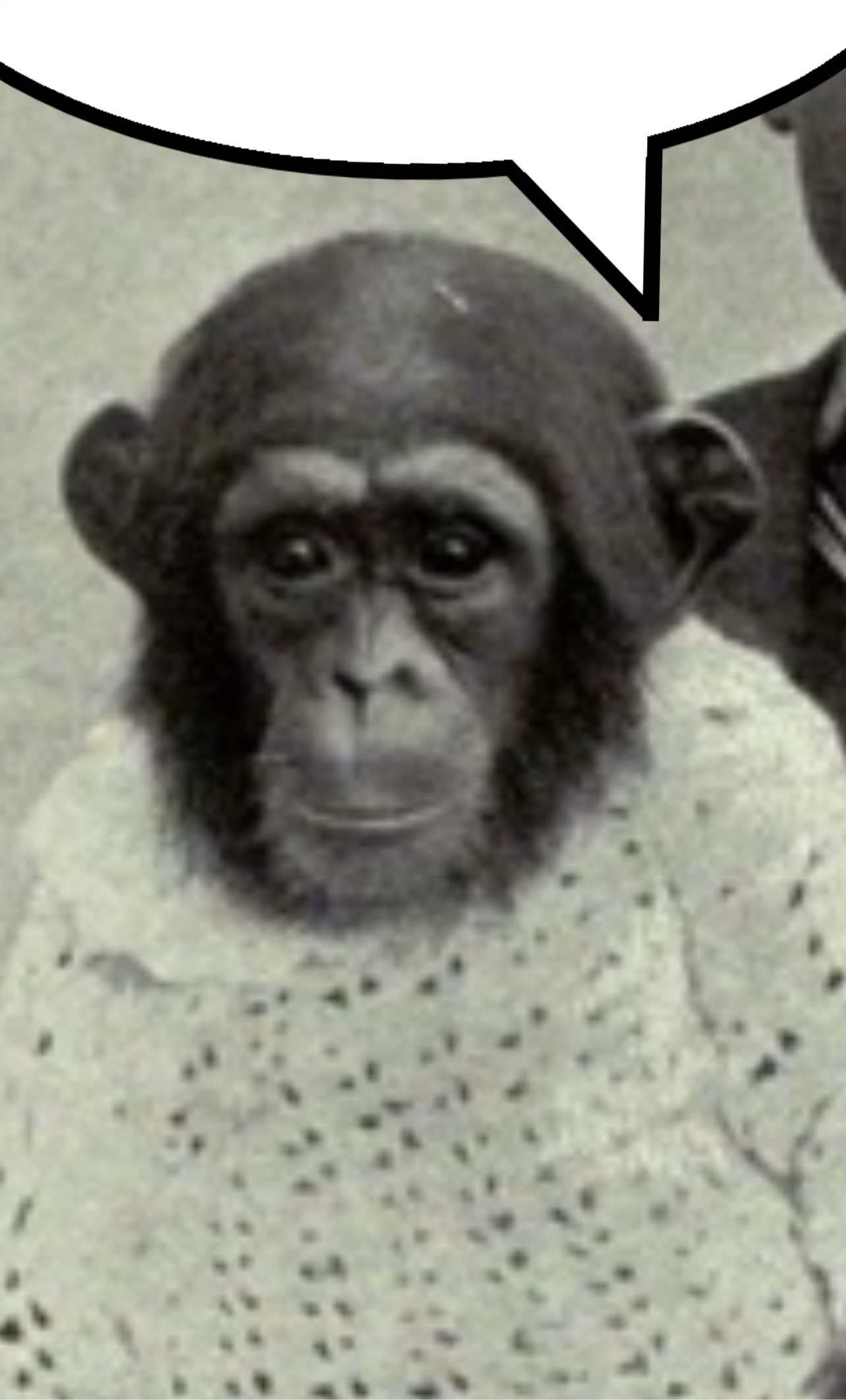 6D196795 2742 45CD B717 18A098AF53AE