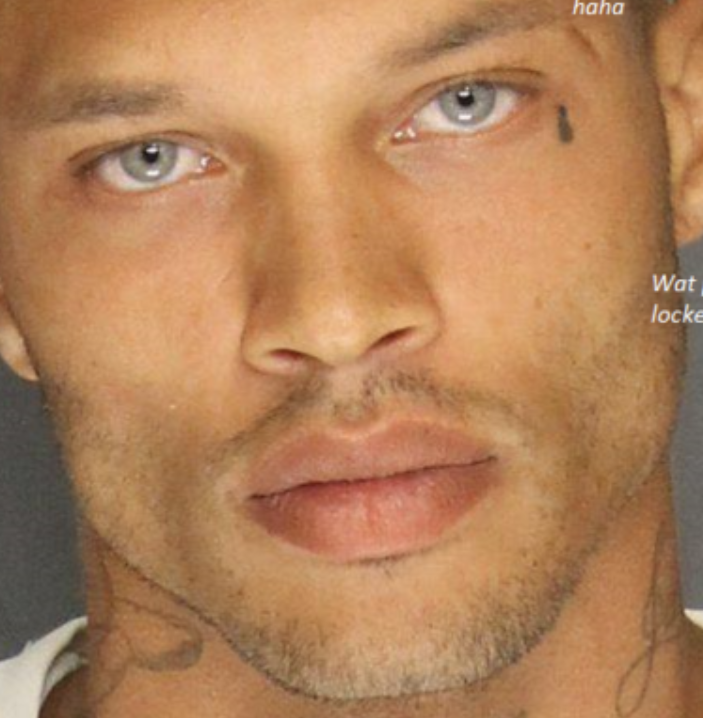 Screenshot 2024 08 15 at 51451PM