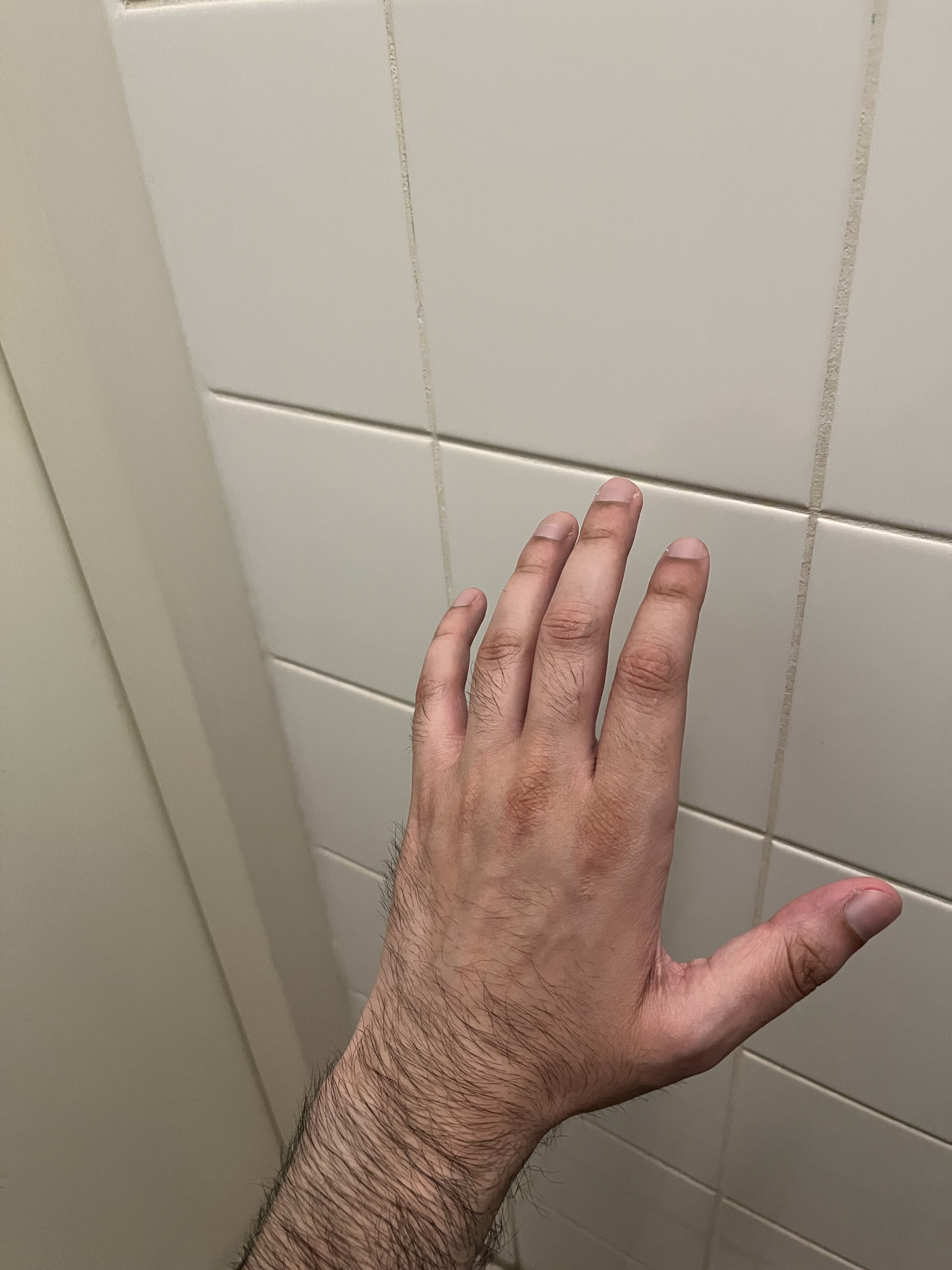 IMG 0823